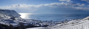 Lavaux en hiver - panoramic_Samuel Bitton